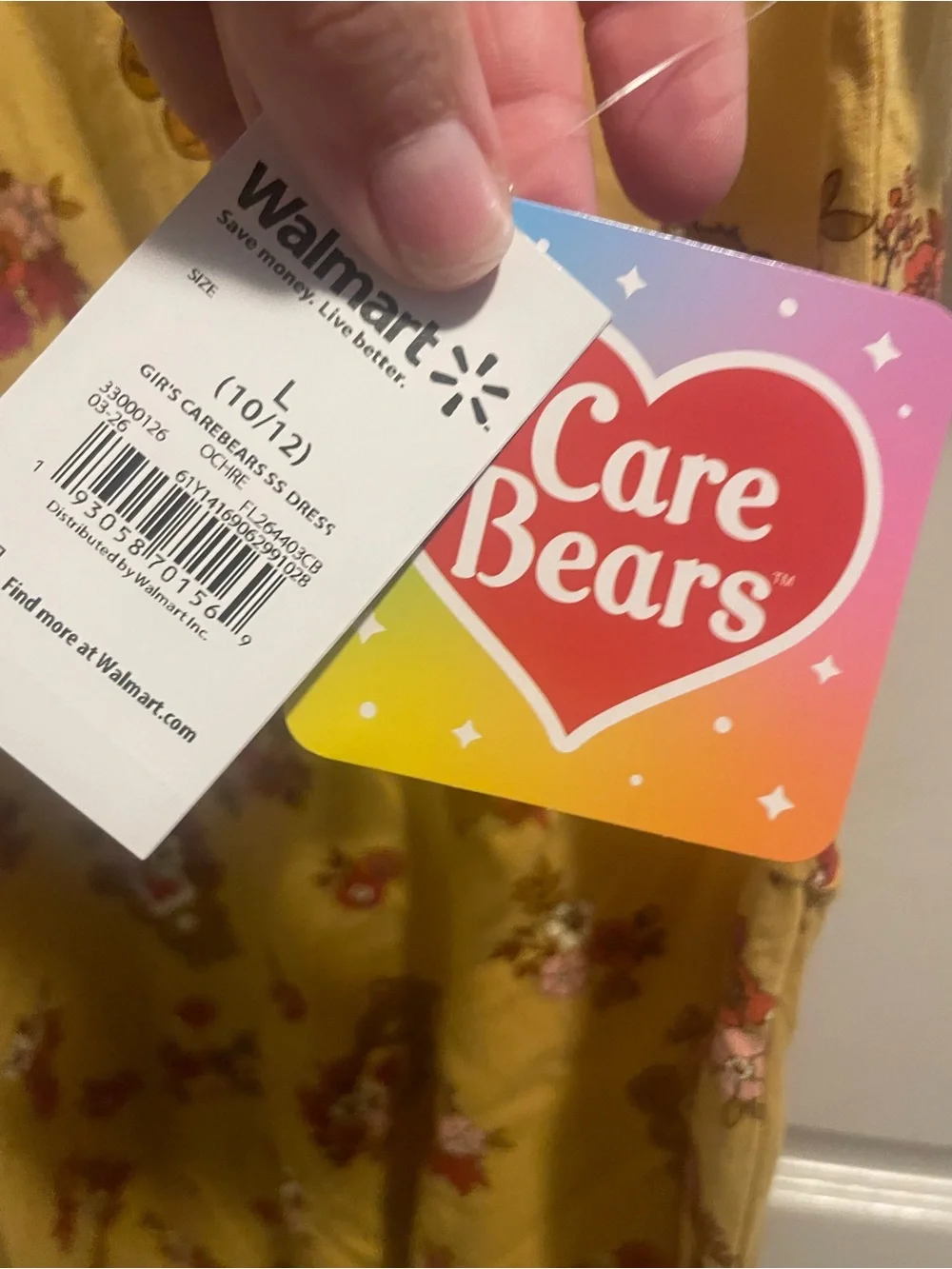 Care Bears Girls Tenderheart Floral Skater Dress L 10/12 NWT